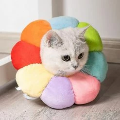 Daka Dog Cone Collar Pet E-collar Recovery Pet Cone Collarm Multicolor) -Pet Soin 701835446 max