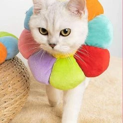 Daka Dog Cone Collar Pet E-collar Recovery Pet Cone Collarl Multicolor) 8 Daka Dog Cone Collar Pet E-collar Recovery Pet Cone Collarl Multicolor) -Pet Soin 701835581 max 1