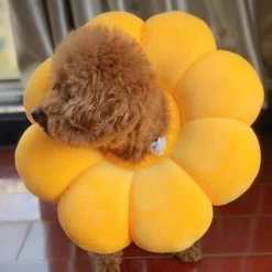 Daka Dog Cone Collar Pet E-collar Recovery Pet Cone Collarm Jaune) -Pet Soin 701840135 max