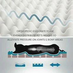 Unbranded Removable Orthopedic Dog Bed - Large Dog Mat, Foam Dog Bed With Plush Cover, Washable Dog Mattress, Grey, 76x50x7.6 Cm,11 7 Unbranded Removable Orthopedic Dog Bed - Large Dog Mat, Foam Dog Bed With Plush Cover, Washable Dog Mattress, Grey, 76x50x7.6 Cm,11 -Pet Soin 708858094 max