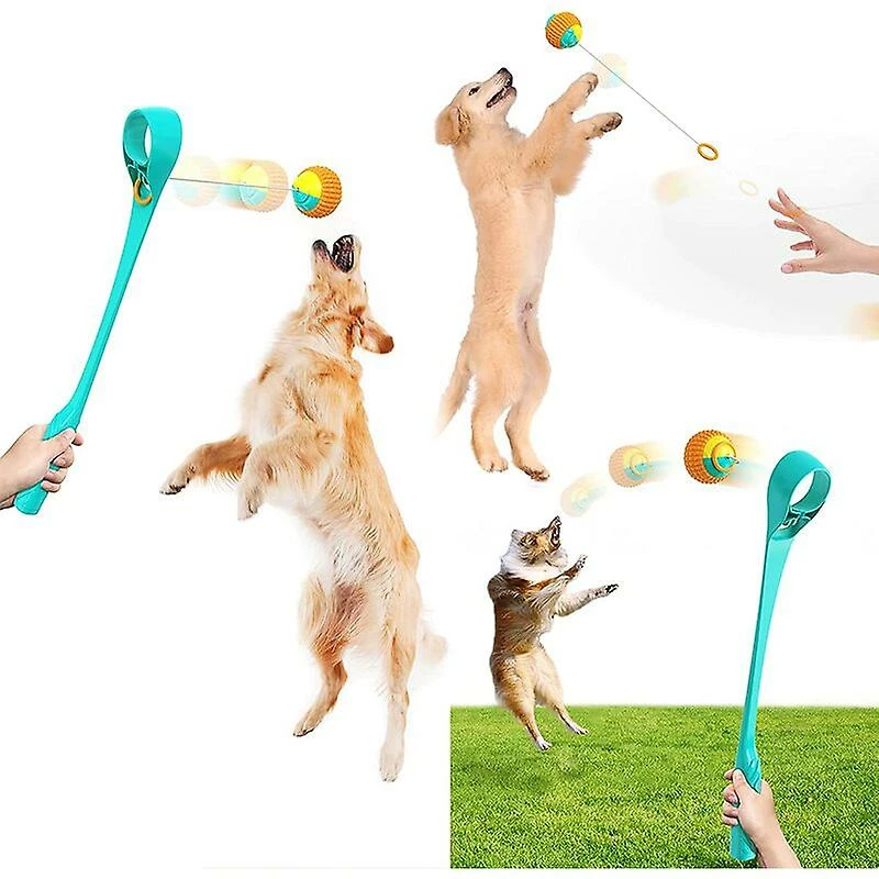 Unbranded Throw It Dog Ball Launcher Puppy Ball Thrower Blue Rubber Mains Libres Ramasser Et Lancer, Balles Moyennes Pour Chiens 2 Unbranded Throw It Dog Ball Launcher Puppy Ball Thrower Blue Rubber Mains Libres Ramasser Et Lancer, Balles Moyennes Pour Chiens – Image 2