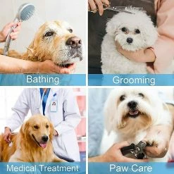 Unbranded Tapis à Lécher Pour Chien, Sans BPA, 2 Pièces Dog Leche Mat Avec 1 Spatule En Silicone, Pour Les Soins Et L’entraînement Des Animaux De Compagnie (bleu, Orange),11 -Pet Soin 708862682 max