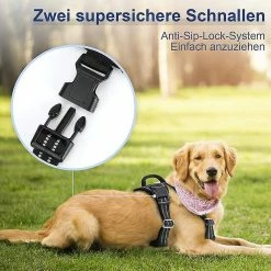 Unbranded Dog Harness, No Pull Harness, Pull Safety Harness, Small, Large & Medium Dogs, Chest Harness, Lightly Padded (s).,11 -Pet Soin 708863084 max
