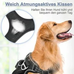 Unbranded Dog Harness, No Pull Harness, Pull Safety Harness, Small, Large & Medium Dogs, Chest Harness, Lightly Padded (s).,11 -Pet Soin 708863241 max