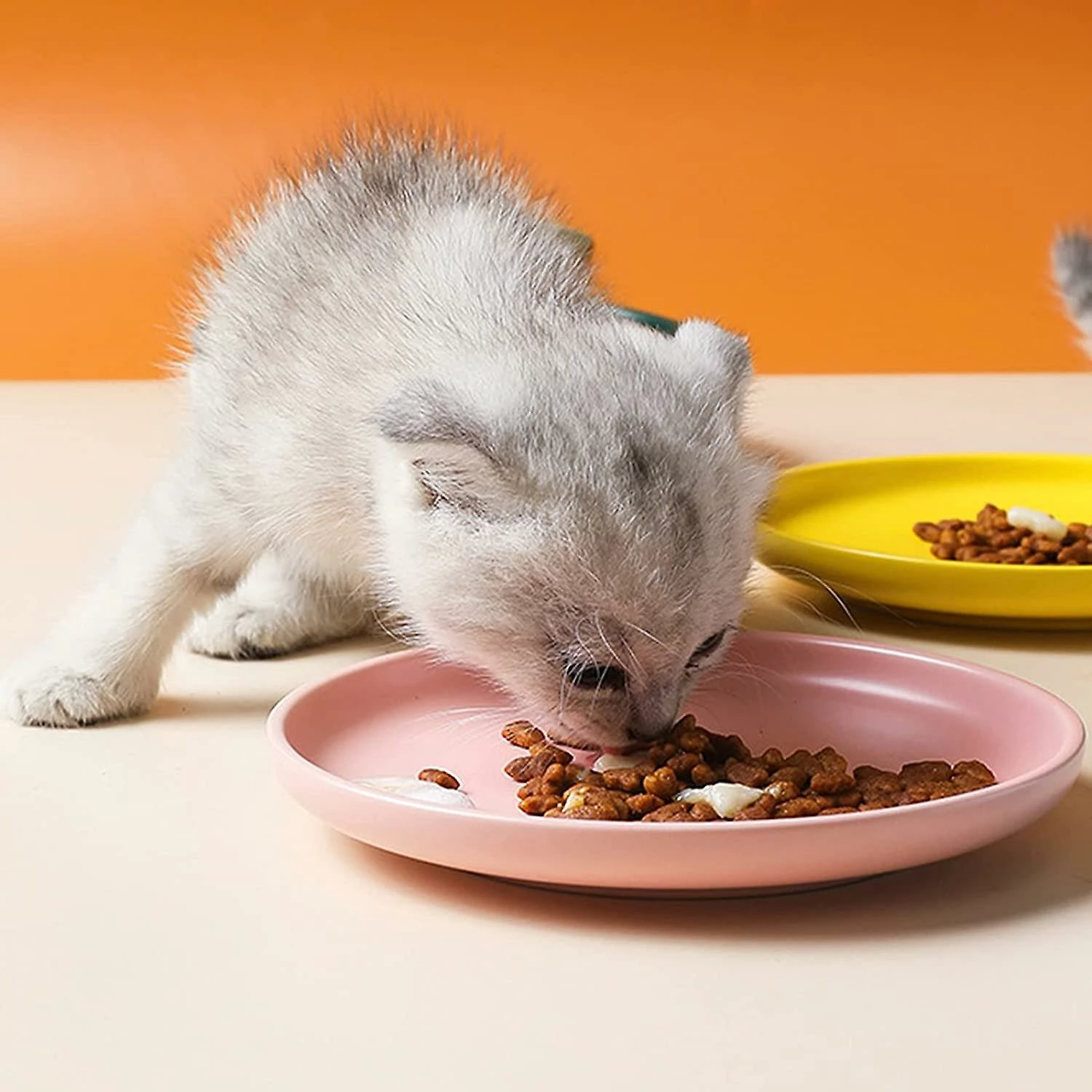 Shlyl Ceramic Cat Food Bowl Ceramic Pet Bowl Shallow Mouth Cat Plate Cat Food Bowl Cat Dog Pet Kitten Water Plate Pet Plate 3 Pieces Green Yellow Pink 4 Shlyl Ceramic Cat Food Bowl Ceramic Pet Bowl Shallow Mouth Cat Plate Cat Food Bowl Cat Dog Pet Kitten Water Plate Pet Plate 3 Pieces Green Yellow Pink – Image 4