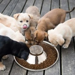 Shlyl Puppy Bowl Bol En Acier Inoxydable Dog Bowl Puppy Feeding Bowl Bol D’alimentation Lente Pour Plusieurs Animaux De Compagnie Boire Et Nourriture Simultanés Pet Bowl 1pc Argent 9 Shlyl Puppy Bowl Bol En Acier Inoxydable Dog Bowl Puppy Feeding Bowl Bol D’alimentation Lente Pour Plusieurs Animaux De Compagnie Boire Et Nourriture Simultanés Pet Bowl 1pc Argent -Pet Soin 710783377 max