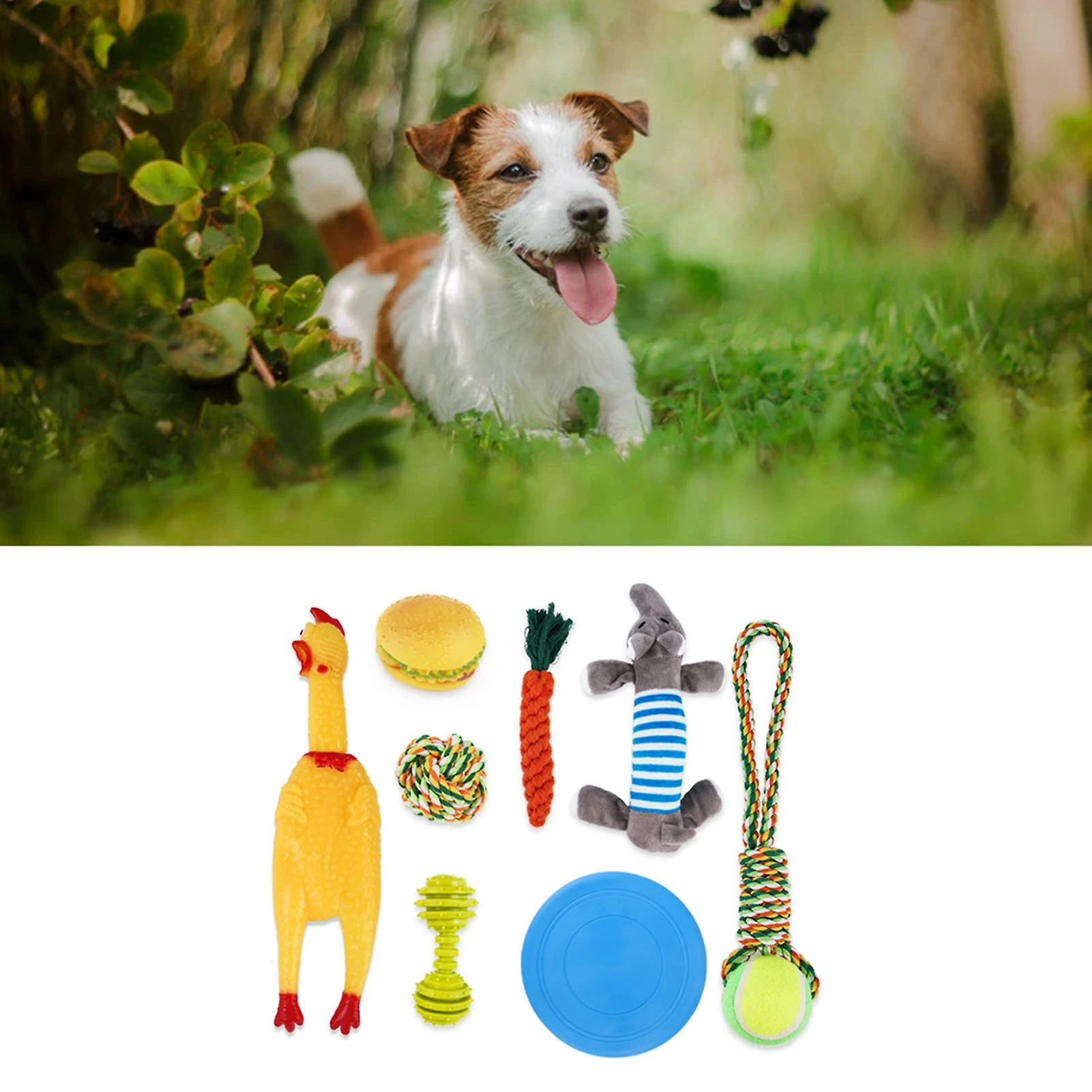 Favrison 8pcs Dog Plush Squeaky Toys Molar Teeth Cleaning Bite Resistant Interactive Pet Chewing Toy For Indoor And Outdoor 2 Favrison 8pcs Dog Plush Squeaky Toys Molar Teeth Cleaning Bite Resistant Interactive Pet Chewing Toy For Indoor And Outdoor – Image 2