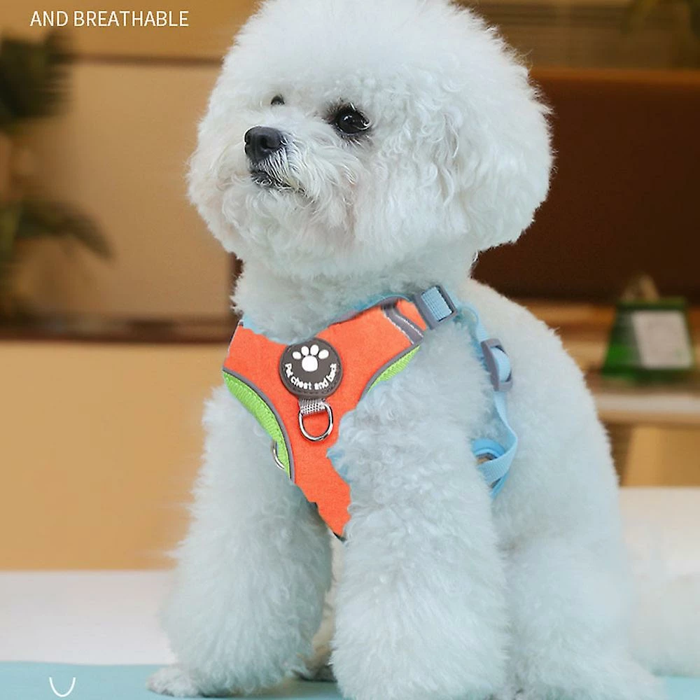 Xxcc Suede Colorful Pet Chest Sangle-Large Reflective Dog Leash In Contrast Dog Leash 4 Xxcc Suede Colorful Pet Chest Sangle-Large Reflective Dog Leash In Contrast Dog Leash – Image 4