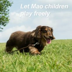 Xxcc Suede Colorful Pet Chest Sangle-Large Reflective Dog Leash In Contrast Dog Leash 9 Xxcc Suede Colorful Pet Chest Sangle-Large Reflective Dog Leash In Contrast Dog Leash -Pet Soin 713432177 max