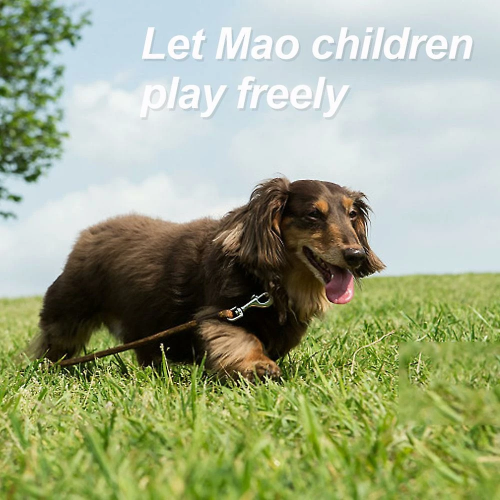 Xxcc Suede Colorful Pet Chest Sangle-Large Reflective Dog Leash In Contrast Dog Leash 5 Xxcc Suede Colorful Pet Chest Sangle-Large Reflective Dog Leash In Contrast Dog Leash – Image 5