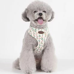 Xxcc Harnais De Gilet Pour Chat Facile Get On Dog | Rembourrage En Maille Météo à Air Doux Respirable | Poitrine Et Cou Réglables Pour Chiots Chatons 9 Xxcc Harnais De Gilet Pour Chat Facile Get On Dog | Rembourrage En Maille Météo à Air Doux Respirable | Poitrine Et Cou Réglables Pour Chiots Chatons -Pet Soin 713432675 max