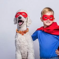 Unbranded Pet Halloween Ties - Soft Halloween Dog Ties And Bows With Bow Tie Bell | Halloween Collar For Dogs Ghost Pumpkin Pet Costume For Small Medium Puppy D -Pet Soin 713454000 max