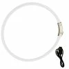 Shlyl 1pc Dog Collar Light - Rechargeable Puppy Collar, Light Up Pet Collar Pour Petits Chiens Moyens à Grands