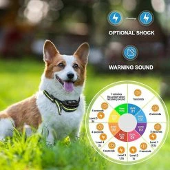Unbranded Fournitures Pour Animaux De Compagnie Beep Dog Rechargeable Ip67 Waterproof Training Anti-bark Collar,11 9 Unbranded Fournitures Pour Animaux De Compagnie Beep Dog Rechargeable Ip67 Waterproof Training Anti-bark Collar,11 -Pet Soin 716338214 max