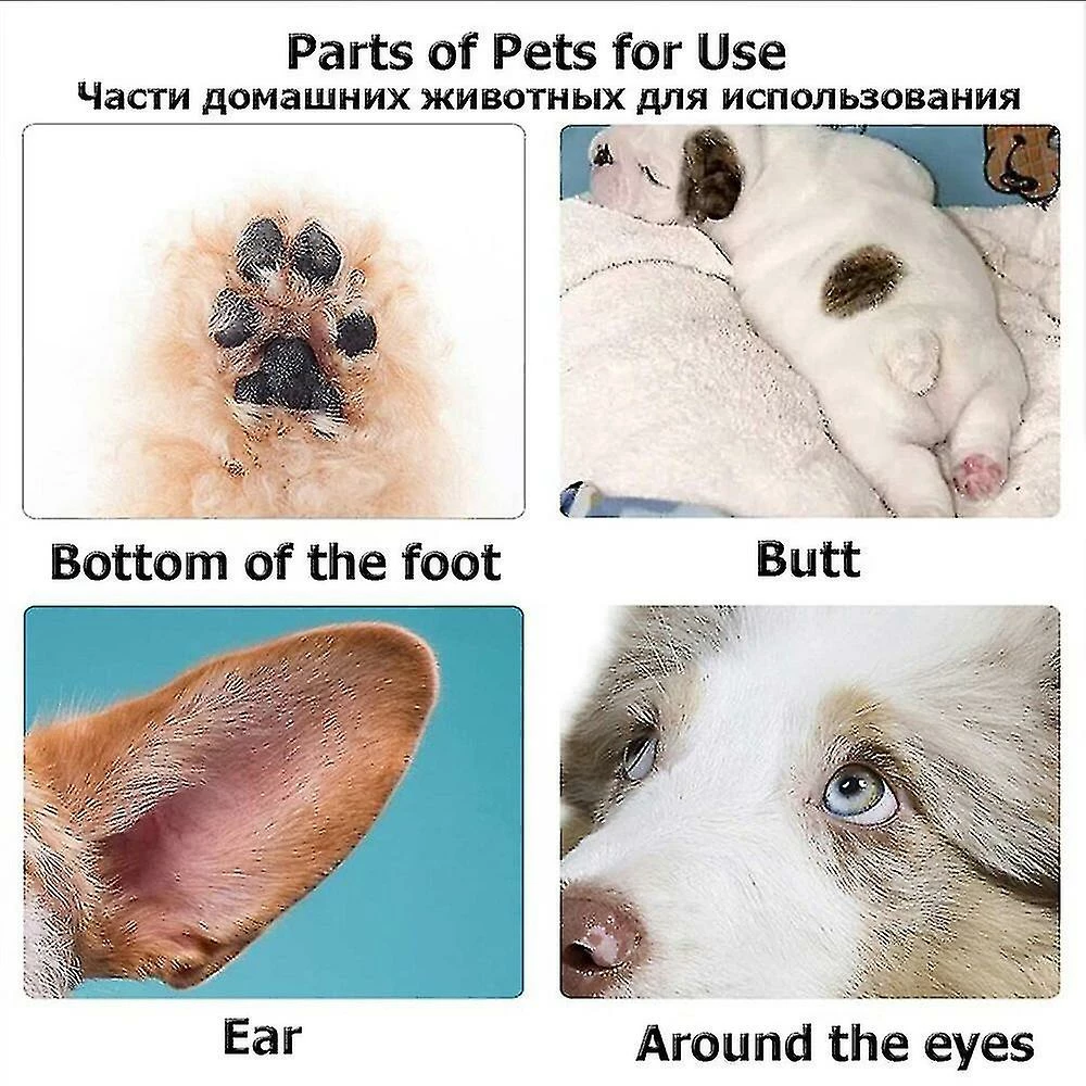 Unbranded Tondeuses Pour Chiens Professionnel Pet Foot Hair Trimmer Dog Growing Clipper Usb Rechargeable Butt Ear Eye Hair Trimmmer Remover Low Noise 3 Unbranded Tondeuses Pour Chiens Professionnel Pet Foot Hair Trimmer Dog Growing Clipper Usb Rechargeable Butt Ear Eye Hair Trimmmer Remover Low Noise – Image 3