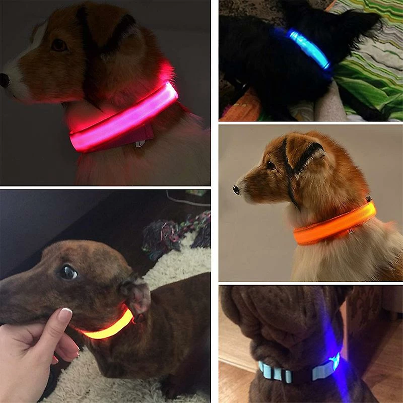 Unbranded Xiaomi Led Light-up Dog Collar Rechargeable Imperméable à L’eau Glow-in-the-dark Collar Réglable Dog Glow-in-the-dark Collier De Sécurité Pour Chien De Compagnie 2 Unbranded Xiaomi Led Light-up Dog Collar Rechargeable Imperméable à L’eau Glow-in-the-dark Collar Réglable Dog Glow-in-the-dark Collier De Sécurité Pour Chien De Compagnie – Image 2