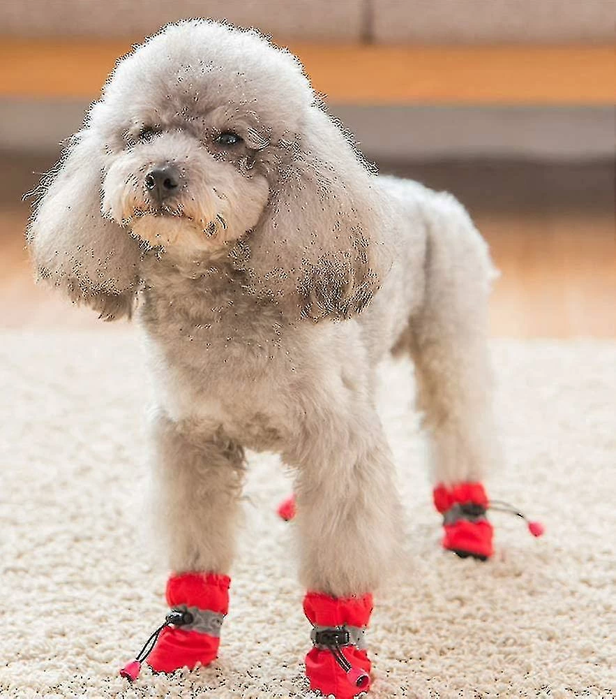 Unbranded Waterproof Puppy Rain Boots, Set Of 4 Pet Boots, Soft Fabric Waterproof Dog Shoes (s,red) Z 5 Unbranded Waterproof Puppy Rain Boots, Set Of 4 Pet Boots, Soft Fabric Waterproof Dog Shoes (s,red) Z – Image 5