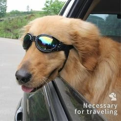 Unbranded Dog Sunglasses Dog Goggles, Dog Uv Protection Goggles, Summer Sunglasses Windproof Dog Sung Z 7 Unbranded Dog Sunglasses Dog Goggles, Dog Uv Protection Goggles, Summer Sunglasses Windproof Dog Sung Z -Pet Soin 718409469 max
