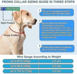 Unbranded Dog Paw Training Collar, Dog Choke With Comfort Tips And Quick Se Buckles For Medium Dogs (3.5mm*55cm) Z -Pet Soin 718410874 max