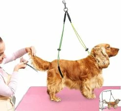 Unbranded Pet Grooming Table Corde Pet Grooming Leash Neck And Hock Holder Dog Grooming Buckle Jaune + Vert 6 Unbranded Pet Grooming Table Corde Pet Grooming Leash Neck And Hock Holder Dog Grooming Buckle Jaune + Vert -Pet Soin 718731807 max