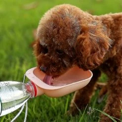 Unbranded Portable Pet Dog Water Bottle Drinking Water Feeder Dog Cat Outdoor Water Bowl Bottle Pet Supplies, Cg -Pet Soin 721070932 max