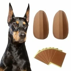 Unbranded Dog Ear Stand Up Sticker Support Fixe - Outils De Levage D’oreille De Chien De Berger Allemand