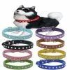 Unbranded 2pcs Pet Collar Dog Collar Cat Collar Cat Necklace Puppy Pu Leather Neck Ring Cat Neck Ring