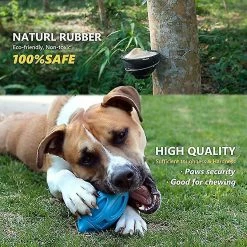 Unbrand Shxx Squeaky Dog Toys Pour Mâcheurs Agressifs: Boule à Mâcher Pour Chiot En Caoutchouc Avec Grincement, Jouet Pour Animaux De Compagnie Presque Indestructible Et Durable Pour Les Moyens Et Grands Bre -Pet Soin 723423757 max