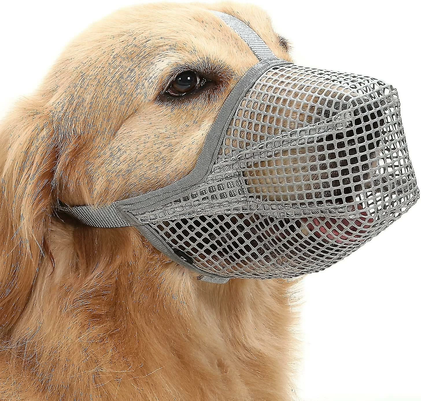 Unbranded Dog Muzzle, Dog Muzzle Mesh Mask With Adjustable Straps, Prevent Biting Chewing And Licking Breathable Fz51-3 1 Unbranded Dog Muzzle, Dog Muzzle Mesh Mask With Adjustable Straps, Prevent Biting Chewing And Licking Breathable Fz51-3