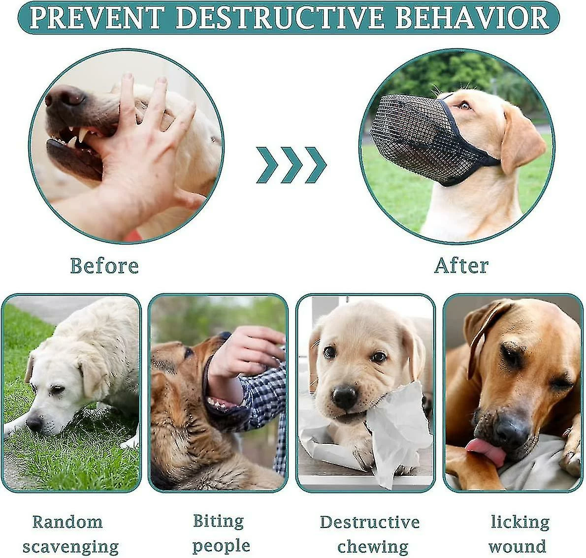 Unbranded Dog Muzzle, Dog Muzzle Mesh Mask With Adjustable Straps, Prevent Biting Chewing And Licking Breathable Fz51-3 4 Unbranded Dog Muzzle, Dog Muzzle Mesh Mask With Adjustable Straps, Prevent Biting Chewing And Licking Breathable Fz51-3 – Image 4