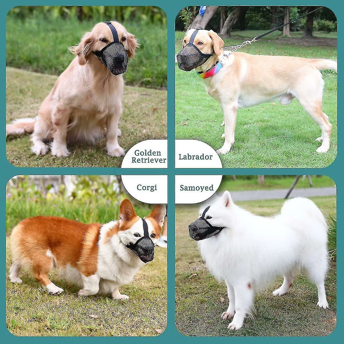 Unbranded Dog Muzzle, Dog Muzzle Mesh Mask With Adjustable Straps, Prevent Biting Chewing And Licking Breathable Fz51-3 5 Unbranded Dog Muzzle, Dog Muzzle Mesh Mask With Adjustable Straps, Prevent Biting Chewing And Licking Breathable Fz51-3 – Image 5