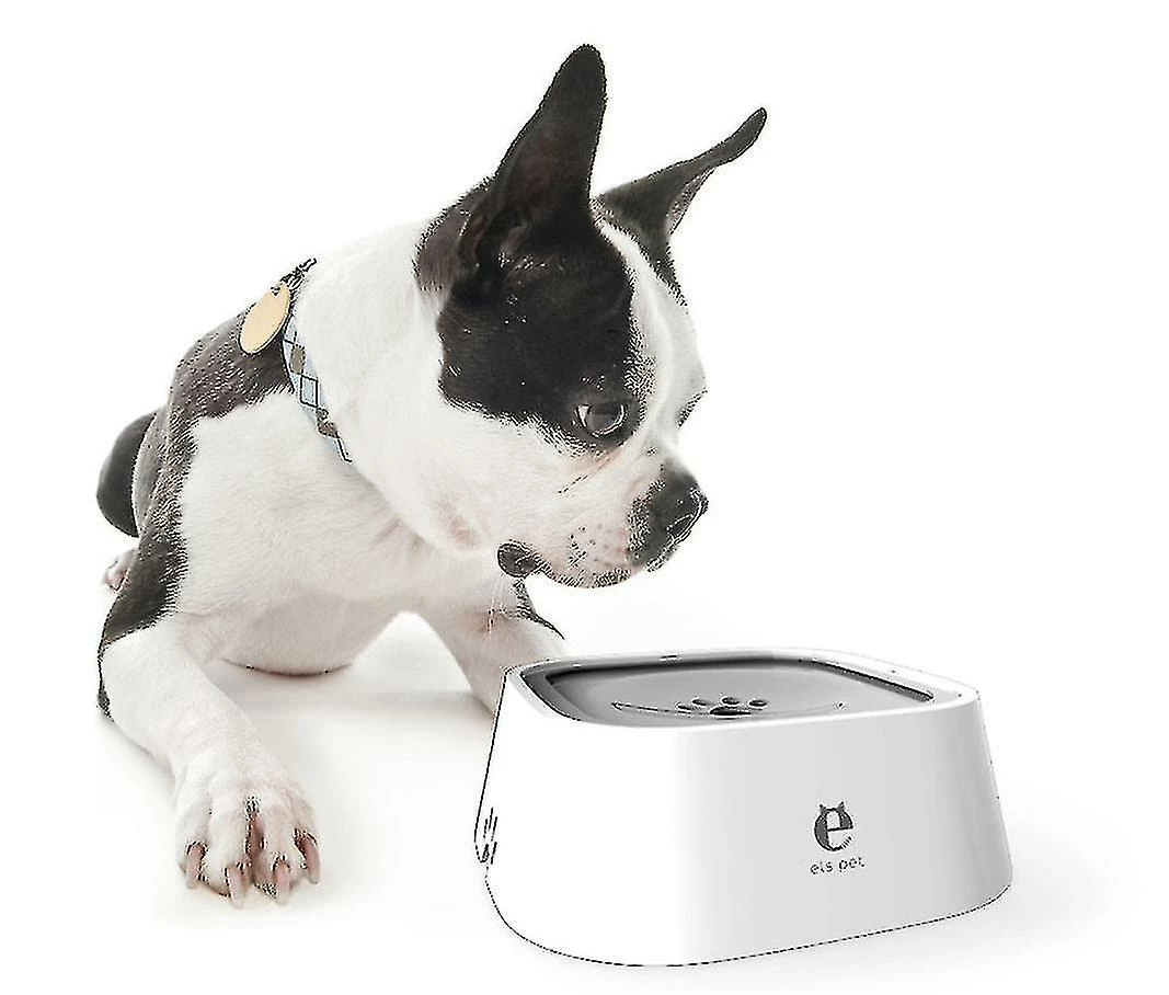 Unbranded Szcc-pet Dog Bowls Floating Not Wetting Mouth Cat Bowl No Spill Drinking Water Feeder Plastic Portable 2 Unbranded Szcc-pet Dog Bowls Floating Not Wetting Mouth Cat Bowl No Spill Drinking Water Feeder Plastic Portable – Image 2