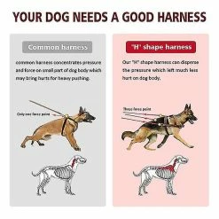 Unbranded Harnais Pour Chien Pour Promenades Big Dog Harness Exercice -Pet Soin 725649326 max