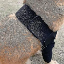 Luluzhu Respirant Dog Elbow Brace Protect Pads Pour Canine Elbow Et Shoulder Support Elbow Hygroma, Dysplasie, Arthrose, Dégagement Des Callosités Du Coude Sal -Pet Soin 727326111 max