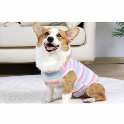 Unbranded Szcc Dog Recovery Suit Plaie Abdominale Chiot Vêtements Chirurgicaux Gilet Postopératoire Pet Après La Chirurgie Porter Un Substitut E-collar & Cone -Pet Soin 727507679 max