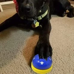 Luluzhu Cloche Pour Animaux De Compagnie, 2 Pack Metal Bell Dog Training Avec Fonds En Caoutchouc Antidérapants Cloche De Porte Pour Chien Pour PotTy Training Ring Pet Tool Dispositif De Communication Pour -Pet Soin 729344639 max