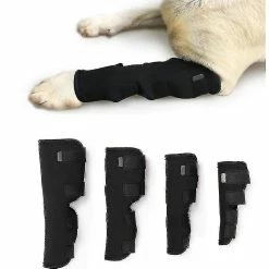 Unbranded Dog Rear Front Leg Hock Joint Wrap Protège Les Plaies Compression Brace Sleeve