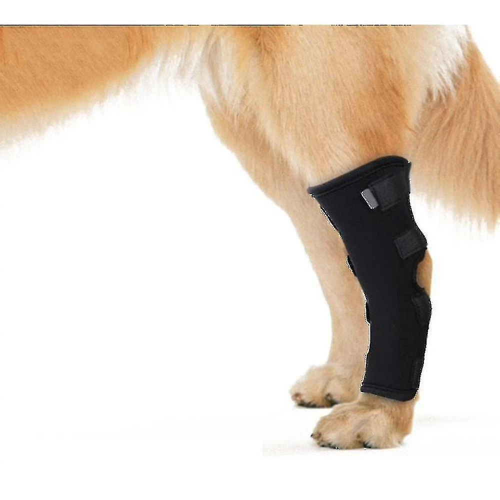 Unbranded Dog Rear Front Leg Hock Joint Wrap Protège Les Plaies Compression Brace Sleeve 2 Unbranded Dog Rear Front Leg Hock Joint Wrap Protège Les Plaies Compression Brace Sleeve – Image 2