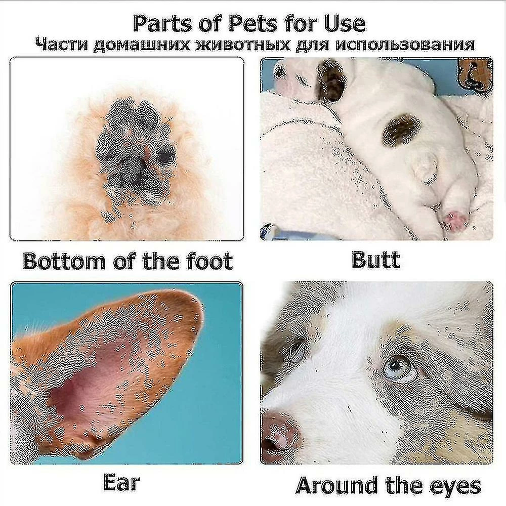 Luluzhu Tondeuses Pour Chiens Professionnel Pet Foot Hair Trimmer Dog Growth Scissors Usb Rechargeable Butt Ear Eye Hair Clipper 3 Luluzhu Tondeuses Pour Chiens Professionnel Pet Foot Hair Trimmer Dog Growth Scissors Usb Rechargeable Butt Ear Eye Hair Clipper – Image 3