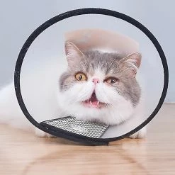Luluzhu Cat Neck Ring Dog Head Anti Anti Lick Damage Circle Accessoires -Pet Soin 733547559 max