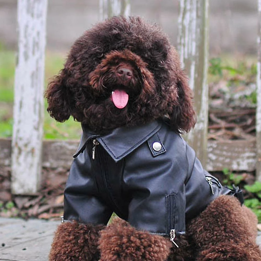 Unbranded Dog Winter Coat Pu Leather Motorcycle Jacket Pour Chien Pet Clothes Veste En Cuir, Imperméable à L’eau 5 Unbranded Dog Winter Coat Pu Leather Motorcycle Jacket Pour Chien Pet Clothes Veste En Cuir, Imperméable à L’eau – Image 5