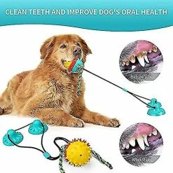 Luluzhu Interactif Dog Toy Dog Toy Dog Toy Incassable -Pet Soin 741559880 max