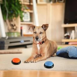Unbranded Creative Pet Starter Enregistrable Talking Speaking Buttons Dog Training Communication Toys 9 Unbranded Creative Pet Starter Enregistrable Talking Speaking Buttons Dog Training Communication Toys -Pet Soin 744508315 max