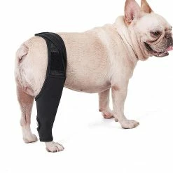 Luluzhu Pet Dog Genouillère Genouillère Luxation De La Rotule Arthrite Garde L’articulation Au Chaud Soutien Supplémentaire