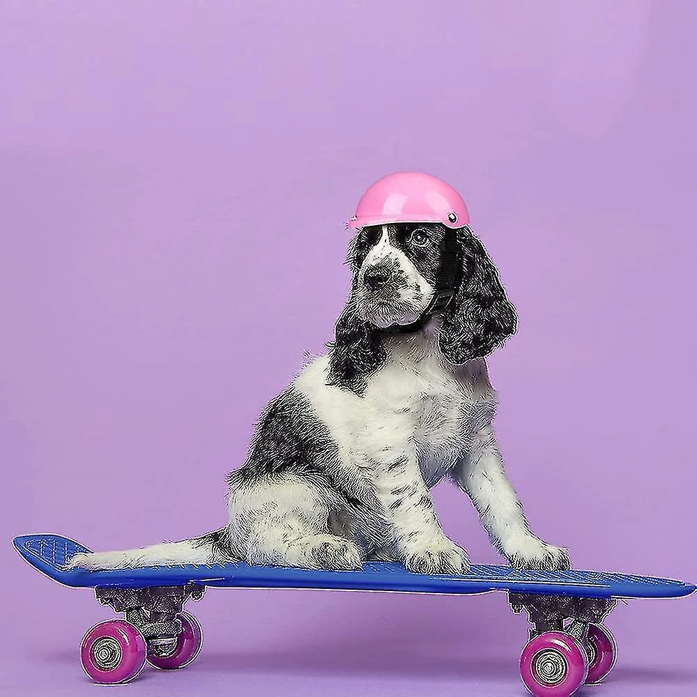 Unbranded Chien De Compagnie Dog Doggie Hardhat Pour Chiot Chihuahua Chiens Aveugles Conduite De Motos Vélo Activités De Plein Air Pour Protéger La Tête Imperméable à L’eau Supplie 3 Unbranded Chien De Compagnie Dog Doggie Hardhat Pour Chiot Chihuahua Chiens Aveugles Conduite De Motos Vélo Activités De Plein Air Pour Protéger La Tête Imperméable à L’eau Supplie – Image 3