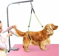 Yoxier Pet Grooming Table Corde Pet Grooming Leash Neck And Hock Holder Dog Grooming Buckle Jaune + Vert
