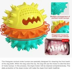 Unbranded Dog Teeth Brush Stick Dog Toys Chew Massager Rubber Dog Toothbrush Soins Dentaires Pour Chiens Petits Et Moyens (bleu Jaune) -Pet Soin 761662767 max