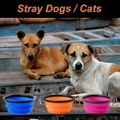 LetsGO Pieces Travel Dog Bowl, Folding Dog Bowl, Dog And Cat Travel Bowls, Avec Mousqueton De Voyage Pour La Nourriture Pour Animaux De Compagnie Et L’alimentation En Eau (bleu + Orange + Violet) -Pet Soin 763852923 max