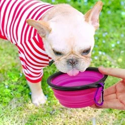 LetsGO 2 Pièces Portable Dog Bowl Plipsible Dog Bowl, Travel Dog Bowls Et Cat Bowls (350ml, Violet Et Vert) 9 LetsGO 2 Pièces Portable Dog Bowl Plipsible Dog Bowl, Travel Dog Bowls Et Cat Bowls (350ml, Violet Et Vert) -Pet Soin 763854041 max