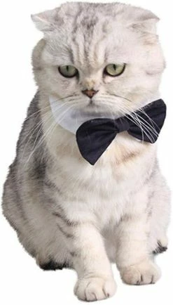 LetsGO Pet Bow Tie Réglable Pet Dog Cat Cravate Costume Cravate Formelle Pour Petits Chiens Puppy Accessoires De Toilettage S -Pet Soin 763867390 max